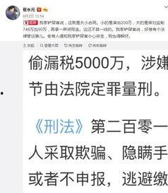 明星逃税漏税